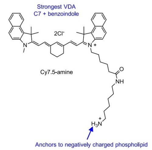 Development of a Highly Efficient Cancer Treatment Strategy using the Vibrionic-Driven Action of Synthetic Aminocyanines
