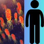 Comparison of Prokaryotic and Eukaryotic Cells