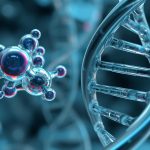 Antibiotics induce overexpression of alpha satellite DNA accompanied with epigenetic changes at alpha satellite arrays as well as genome-wide.