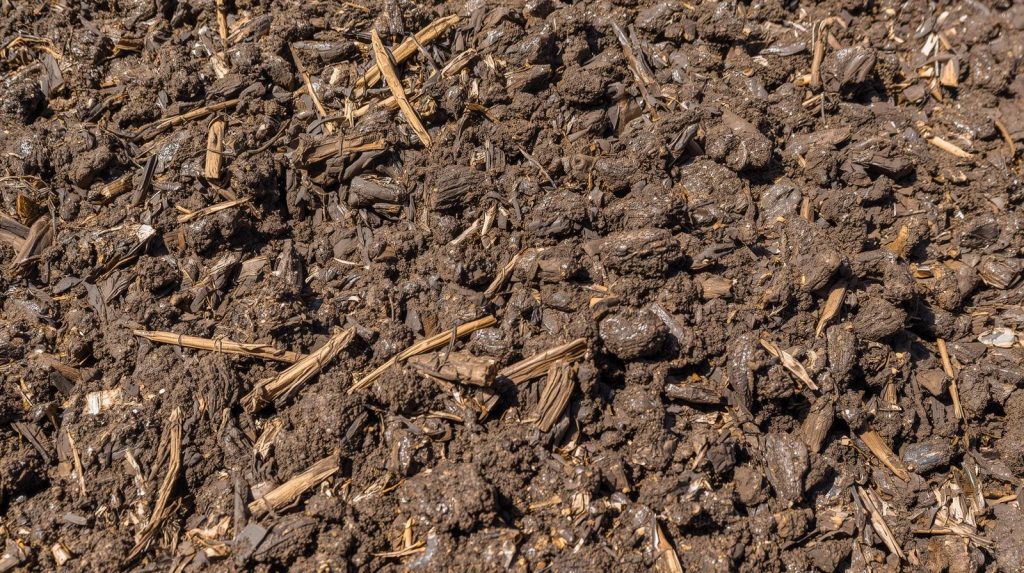 Microbiological Safety of the Technology of Accelerated Manure Processing.