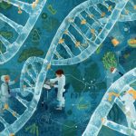 Researchers create the maps to see which bits of the genome living organisms truly need to stay alive, and how badly they falter when any given bit goes missing.
