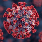 Epstein-Barr virus nuclear antigen 1 upregulates Derlin1 and PSMD10 expression in HeLa cells