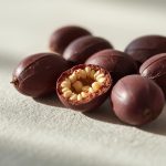 Study on green extraction process of polyphenols from camellia seed meal and determination of extract bioactivity.