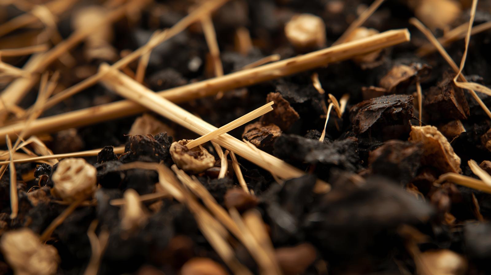 Interactive effects of straw and biochar amendments on soil organic carbon stabilization and bacterial community dynamics.