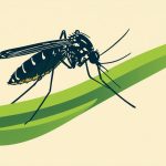 Insecticidal potential of bioactive compounds extracted from Phyllanthus acidus L. leaf against medically important mosquito species.