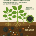 Biochar based nano-fertilizers: a sustainable strategy for enhancing soybean productivity, soil health, and climate resilience.