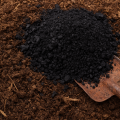 Biochar-Amended Composting Transforms Chicken Manure Waste Into a Resource: Enhancing Extra-Rhizosphere Soil Fertility and Shaping Microbial Communities.