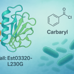 Engineering a novel carbaryl-degrading esterase from Bacillus velezensis for enhanced degradability via semi-rational design and whole-cell biocatalysis. 