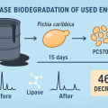 Enzymatic biodegradation of used engine oil using a novel lipase derived from renewable feedstocks