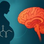 Brain Abnormalities in Children Exposed Prenatally to the Pesticide Chlorpyrifos.