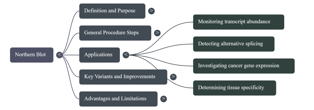 Northern_Blot_Applications