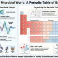 Periodic Table of Bacteria