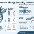 Basics of Molecular Biology