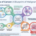 The Hallmarks of Cancer