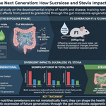 Artificial Sweeteners